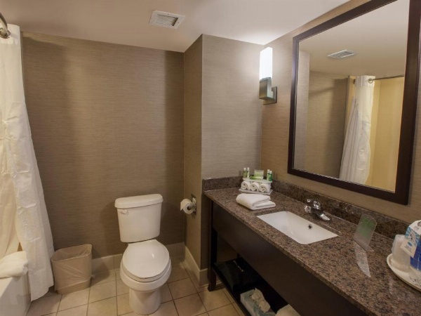 Holiday Inn Express & Suites Buffalo Airport by IHG image 15