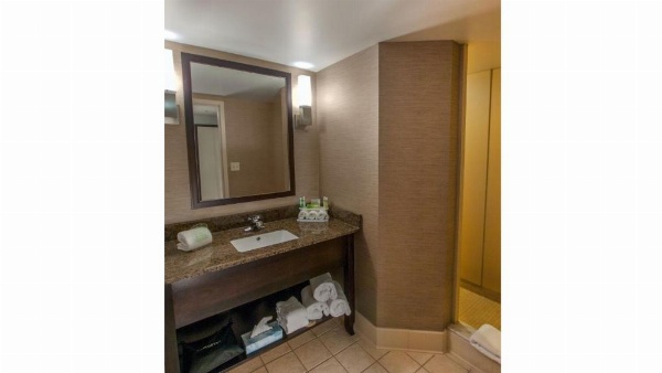 Holiday Inn Express & Suites Buffalo Airport by IHG image 18