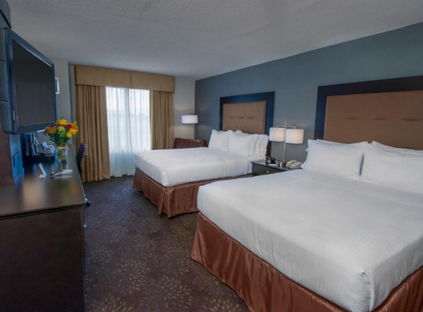 Holiday Inn Express & Suites Buffalo Airport by IHG image 20