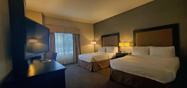 Holiday Inn Express & Suites Buffalo Airport by IHG image 22