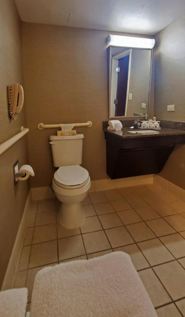 Holiday Inn Express & Suites Buffalo Airport by IHG image 24
