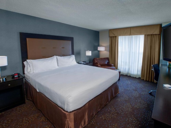 Holiday Inn Express & Suites Buffalo Airport by IHG image 25