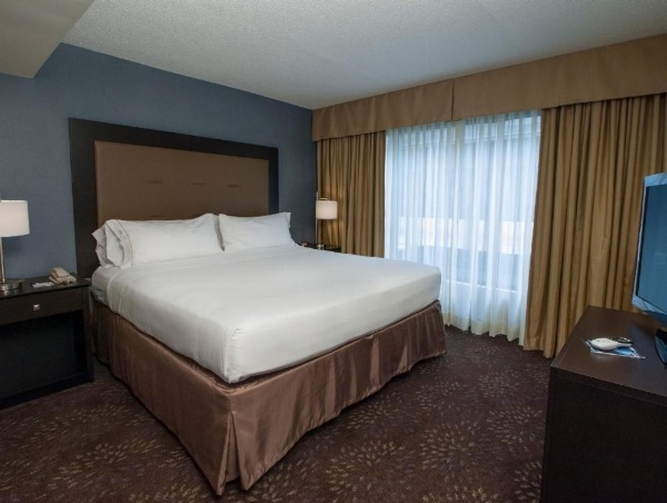 Holiday Inn Express & Suites Buffalo Airport by IHG image 6