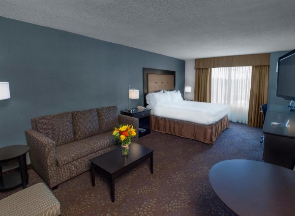 Holiday Inn Express & Suites Buffalo Airport by IHG image 8